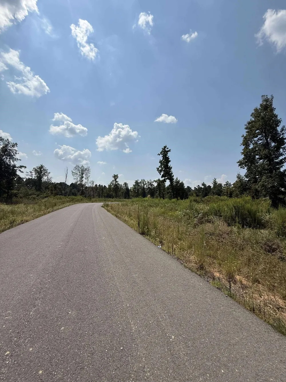 Bradleigh Boulevard Frierson, LA 71027