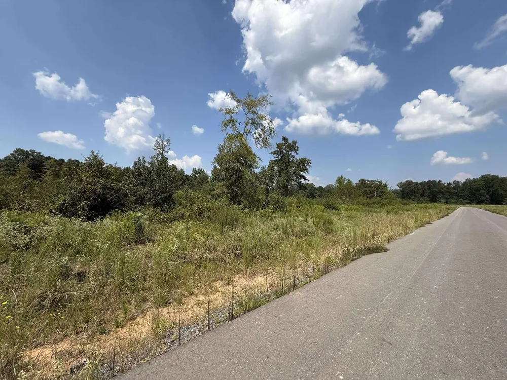 Bradleigh Boulevard Frierson, LA 71027
