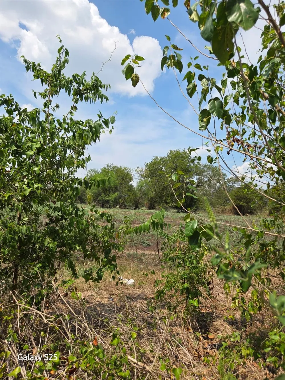 5000 E State Highway 21 Bryan, TX 77808