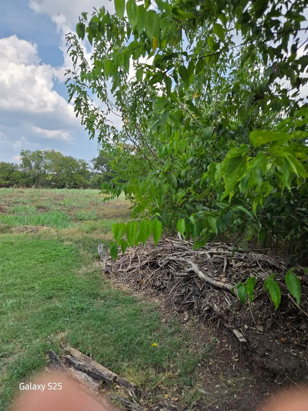 5000 E State Highway 21 Bryan, TX 77808