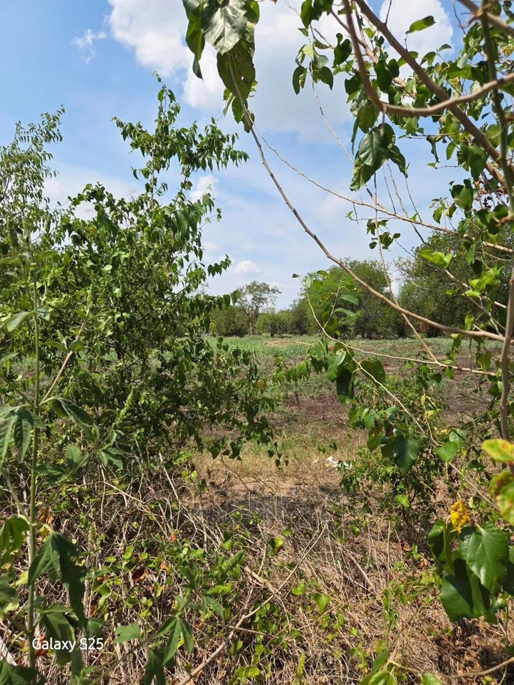 5000 E State Highway 21 Bryan, TX 77808