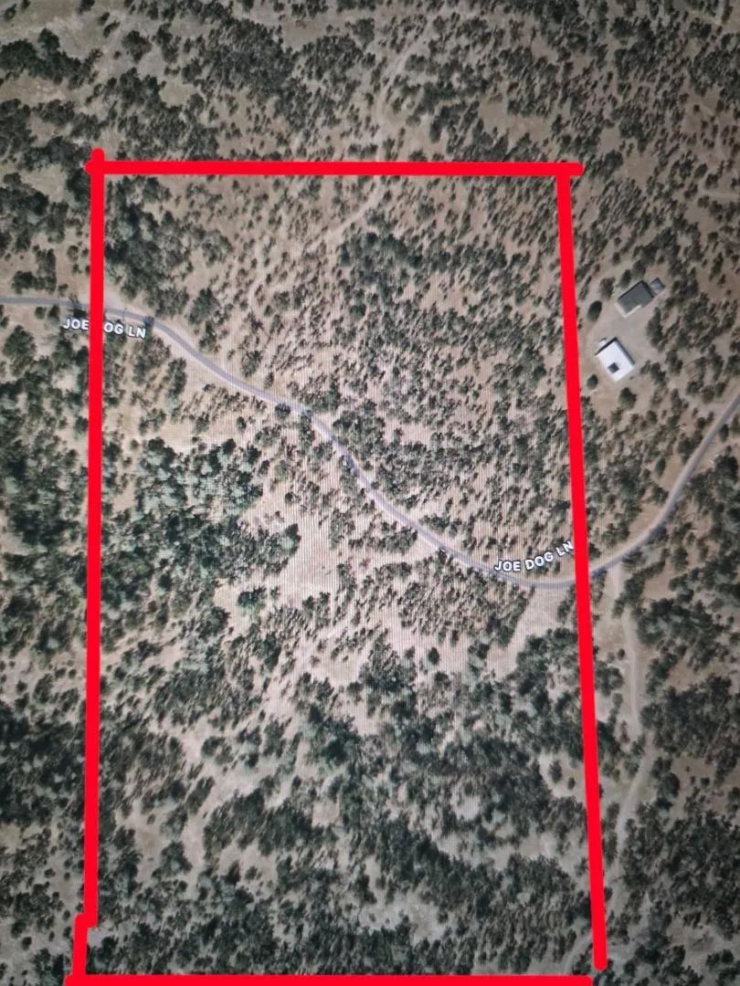 Joe Dog Lane Cottonwood, CA 96022