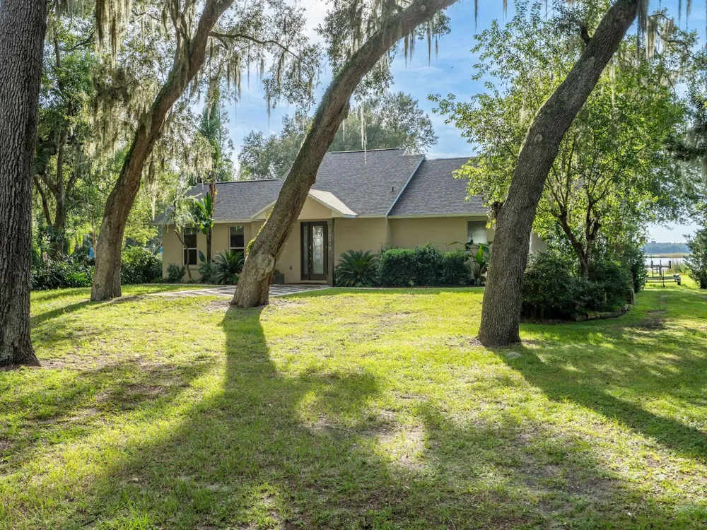 25212 E HIGHWAY 316 Salt Springs, FL 32134