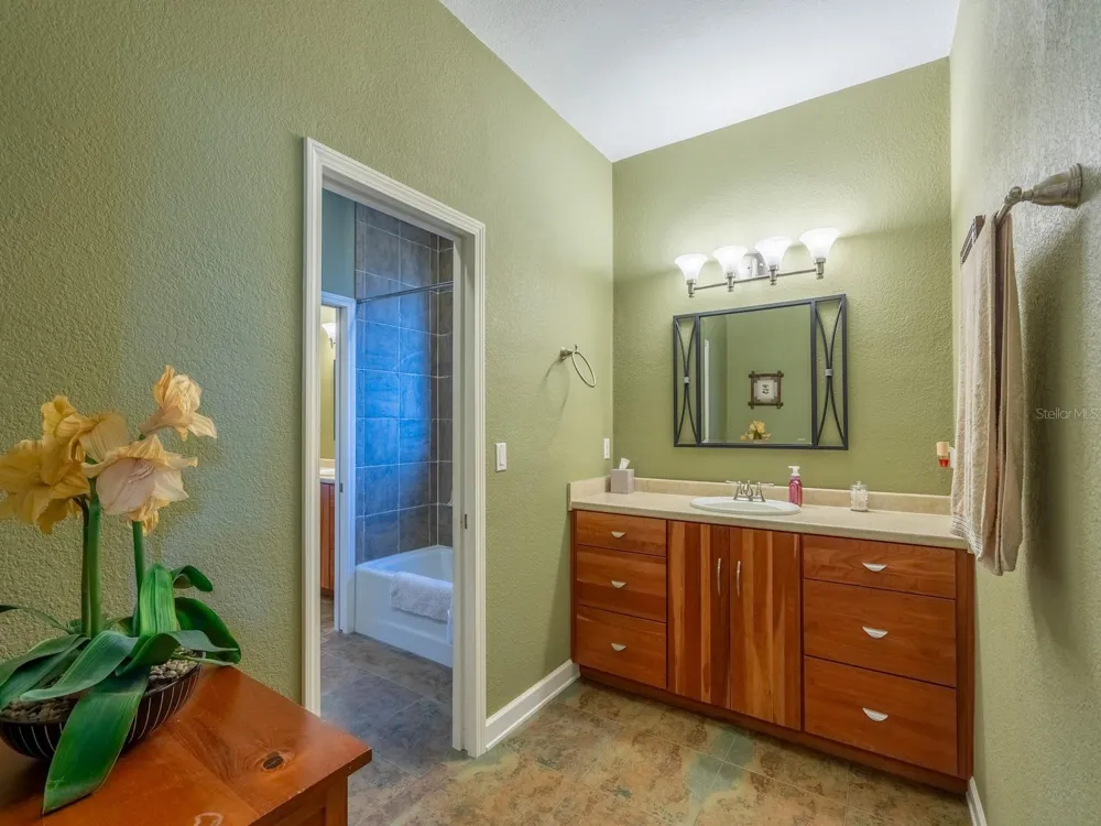 25212 E HIGHWAY 316 Salt Springs, FL 32134