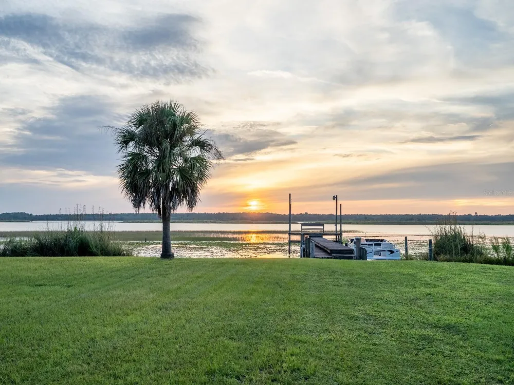 25212 E HIGHWAY 316 Salt Springs, FL 32134