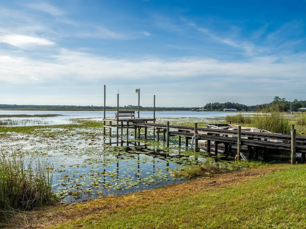 25212 E HIGHWAY 316 Salt Springs, FL 32134