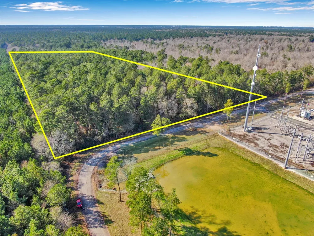 Pelican Road Shepherd, TX 77371