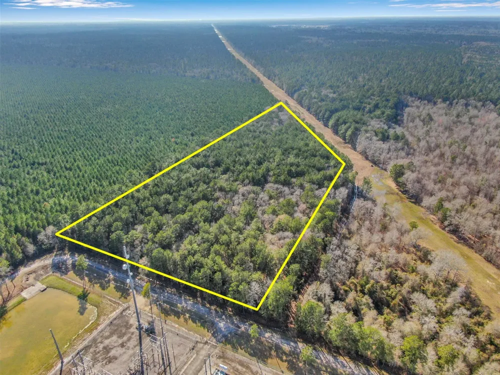 Pelican Road Shepherd, TX 77371