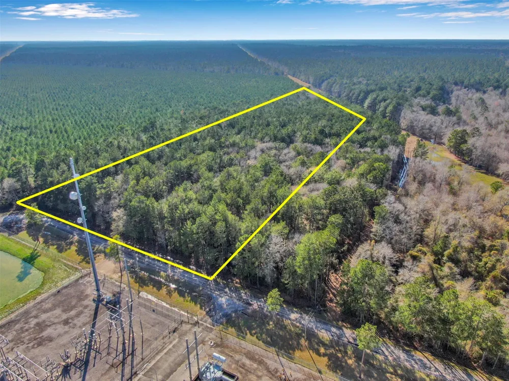 Pelican Road Shepherd, TX 77371