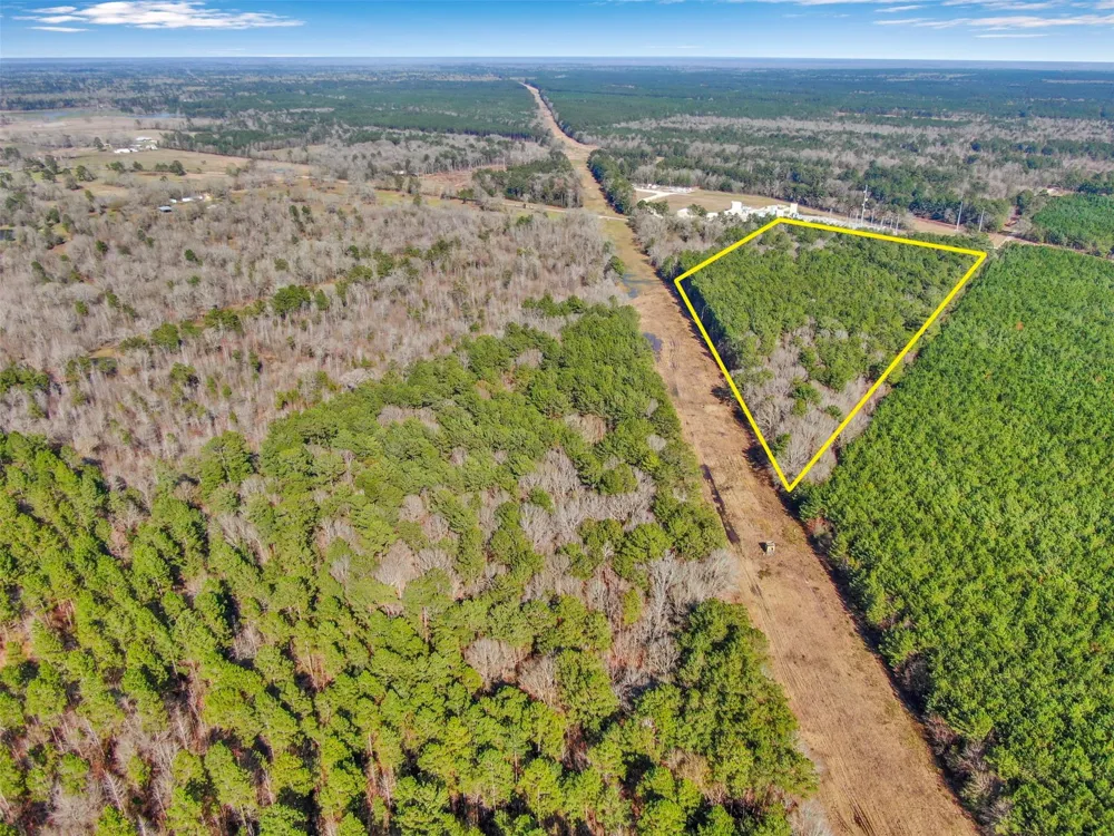 Pelican Road Shepherd, TX 77371