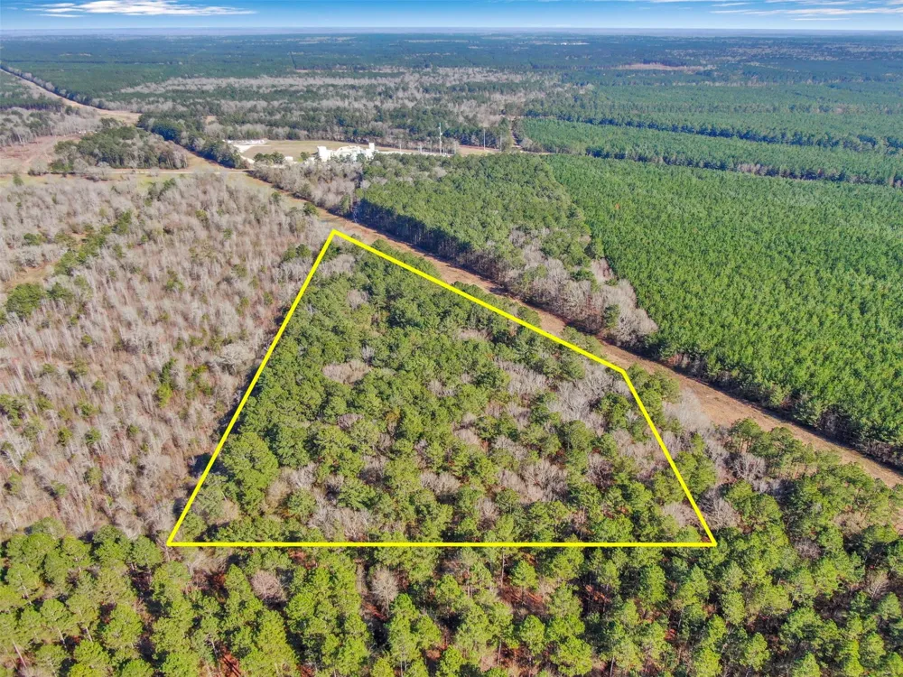 Pelican Road Shepherd, TX 77371