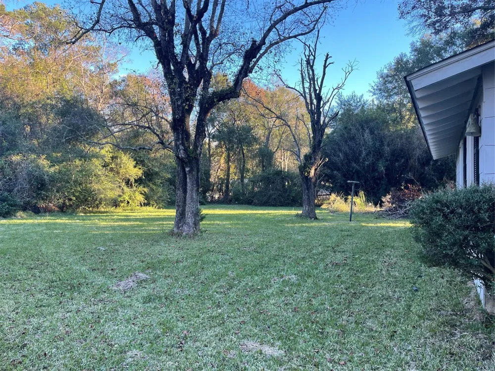 255 Frank Street #A-B Kountze, TX 77625