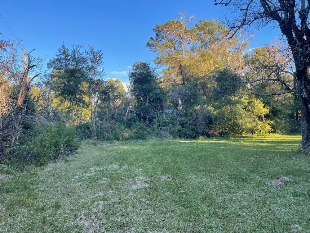 255 Frank Street #A-B Kountze, TX 77625