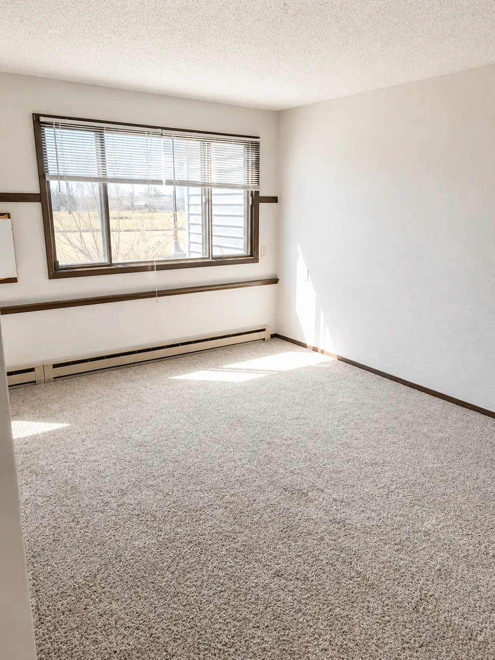 700 3rd Street ##3 Barrett, MN 56311