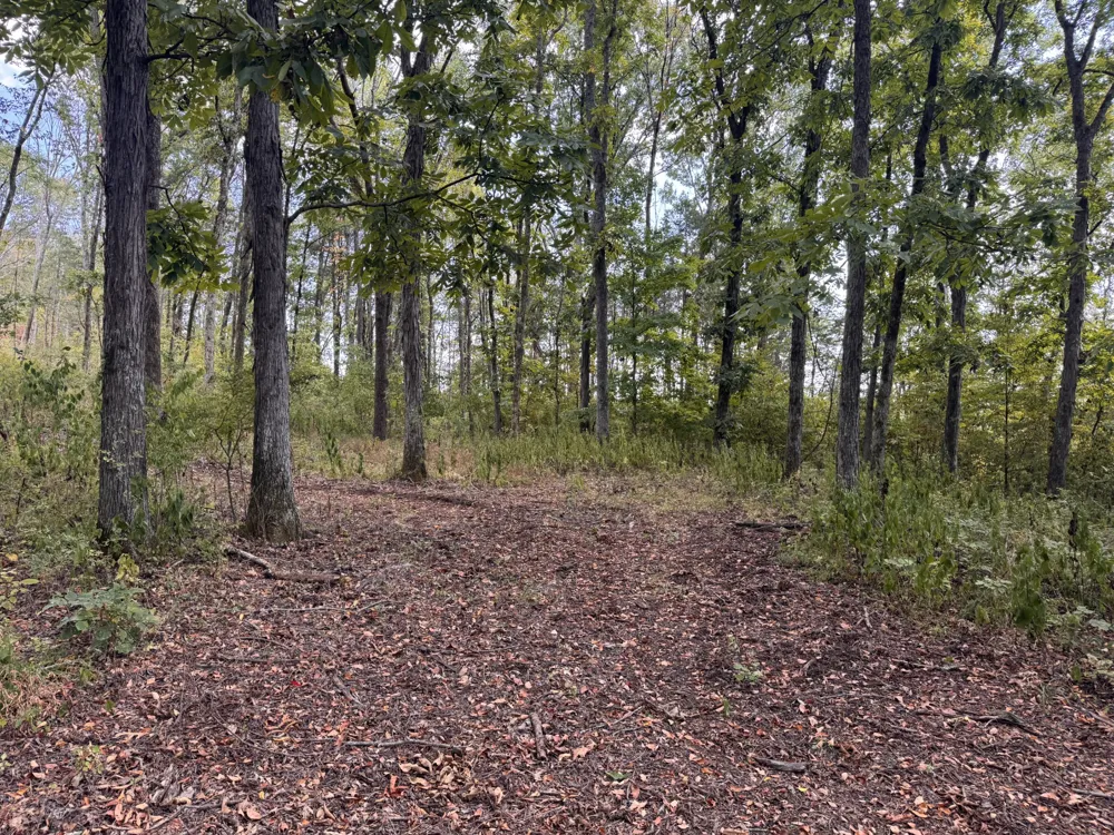 337 Carellton Dr Gallatin, TN 37066
