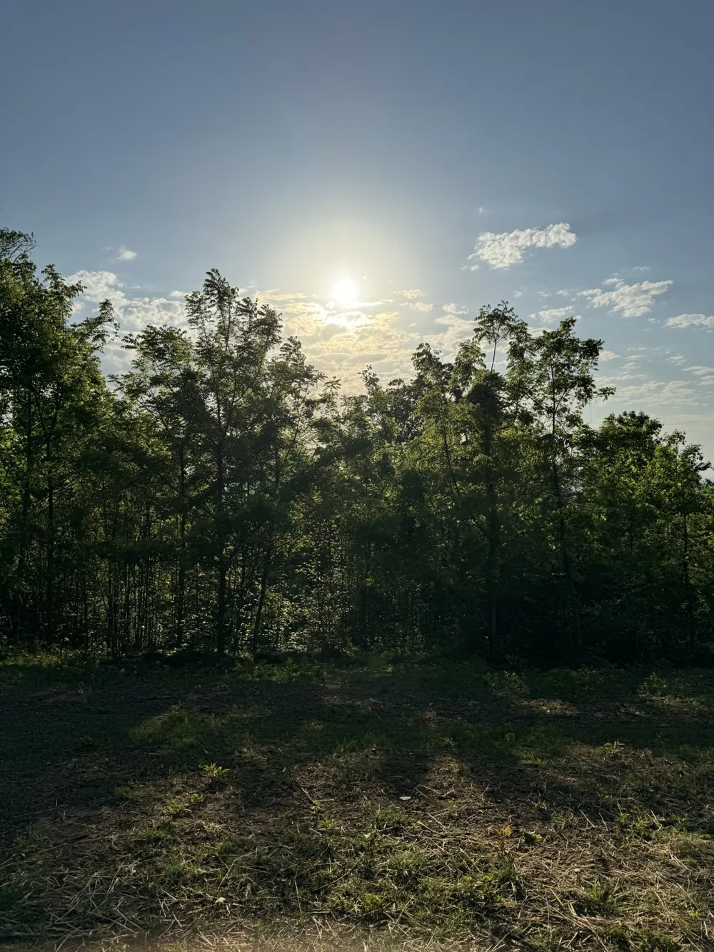 337 Carellton Dr Gallatin, TN 37066