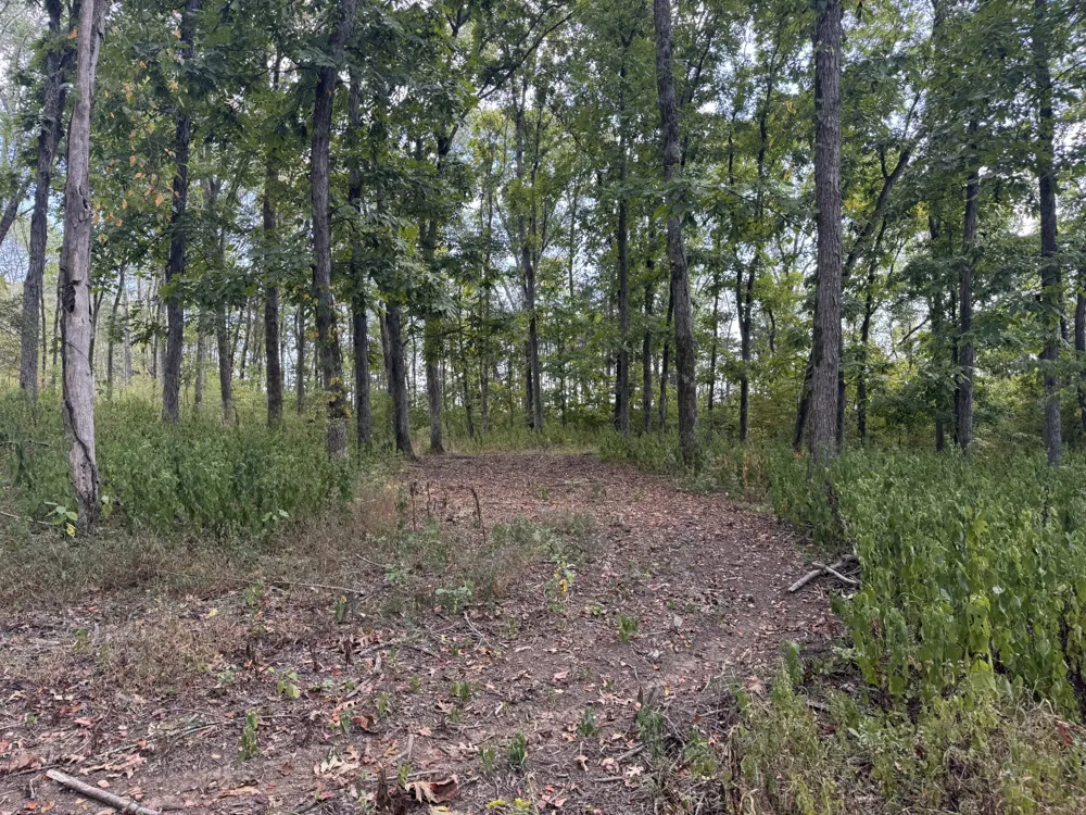 337 Carellton Dr Gallatin, TN 37066