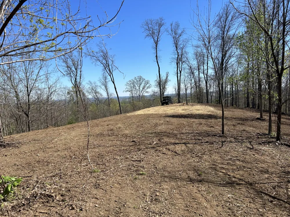 337 Carellton Dr Gallatin, TN 37066