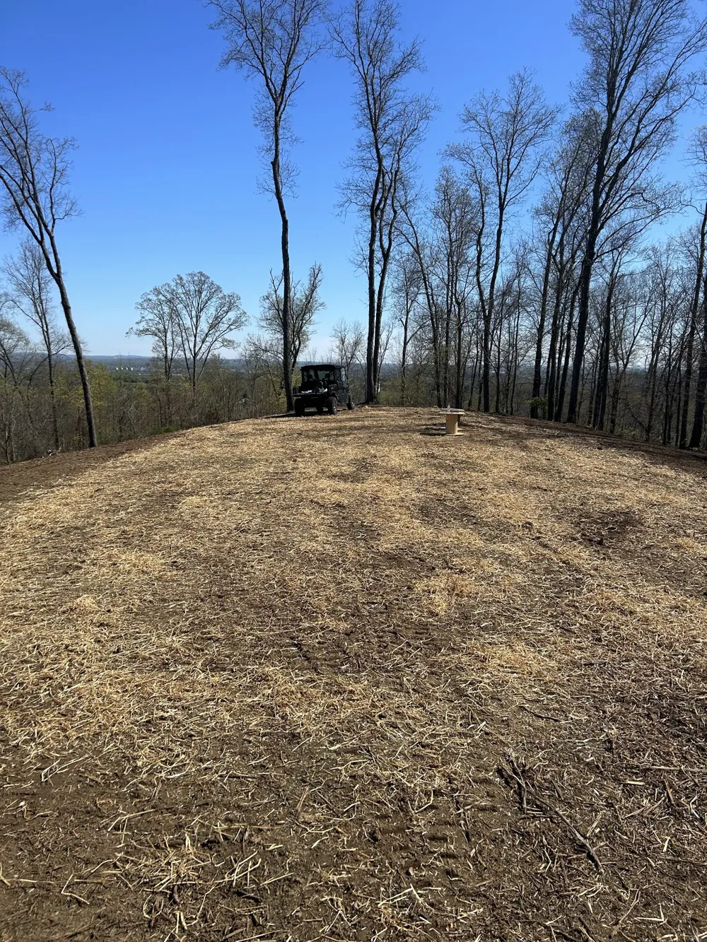 337 Carellton Dr Gallatin, TN 37066