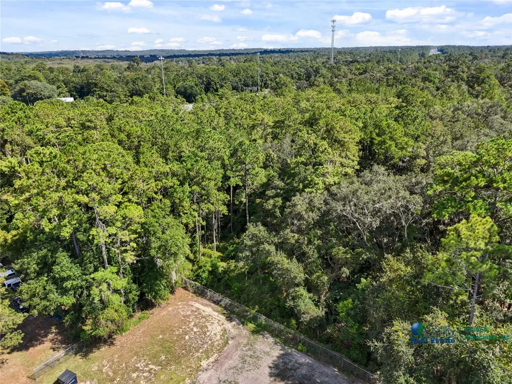 SE CR 234 Micanopy, FL 32667