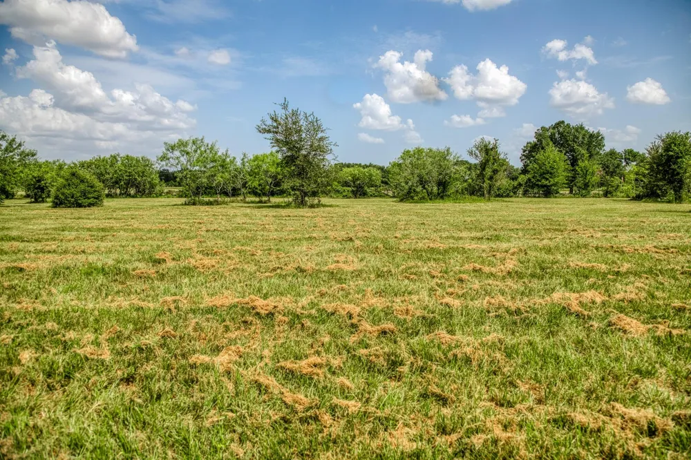 9159 Fm 1362 Caldwell, TX 77836