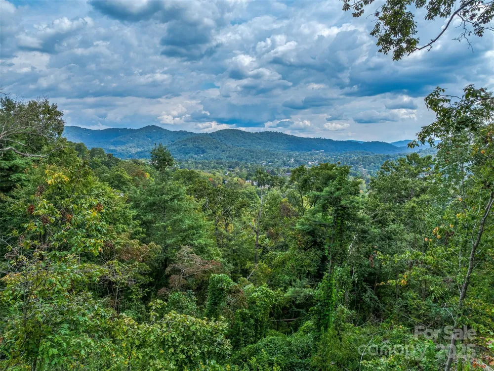 147 Senator Reynolds Road Asheville, NC 28804