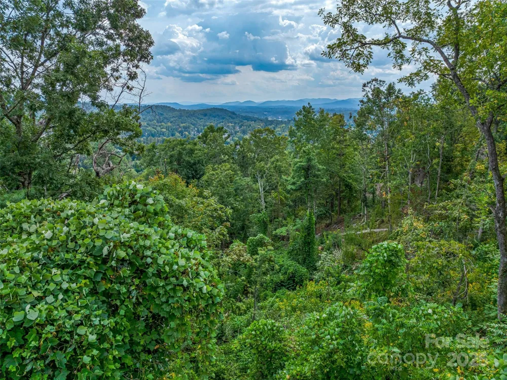 147 Senator Reynolds Road Asheville, NC 28804