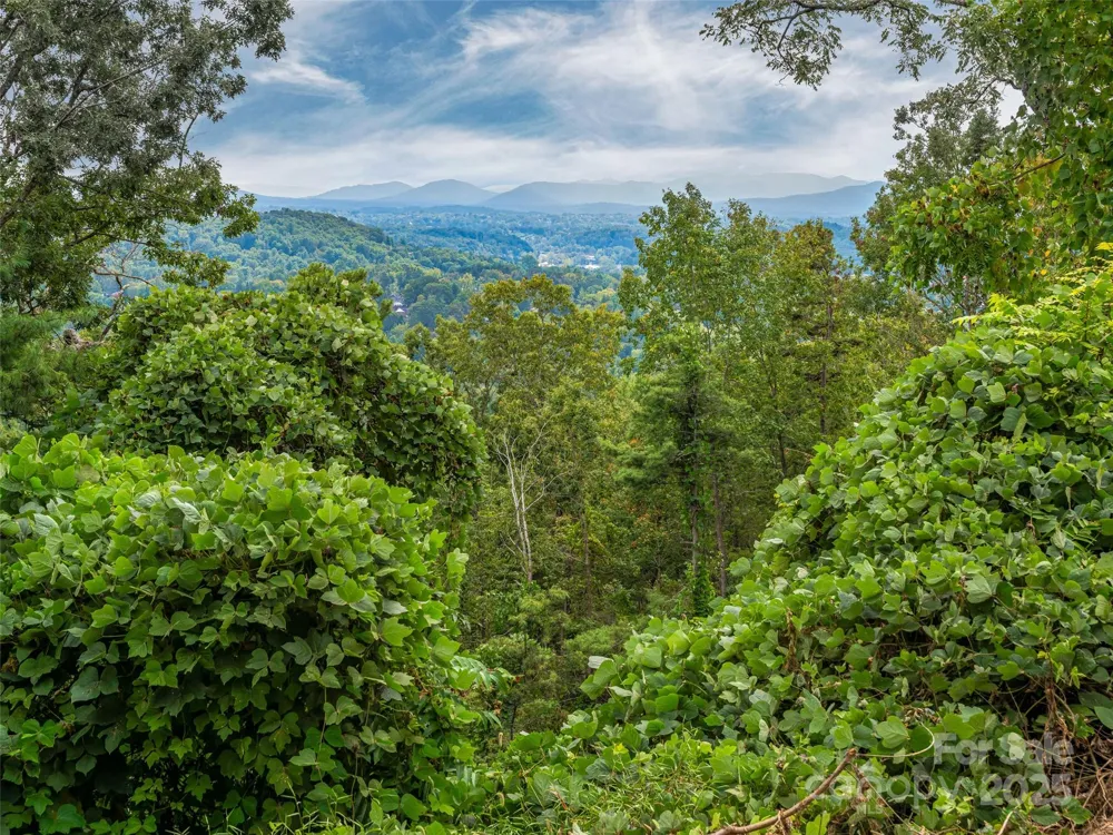 147 Senator Reynolds Road Asheville, NC 28804