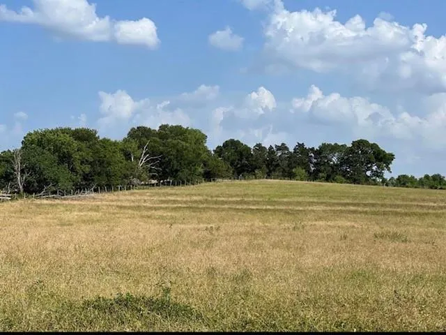 Fm 149 W Anderson, TX 77830