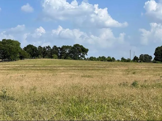 Fm 149 W Anderson, TX 77830