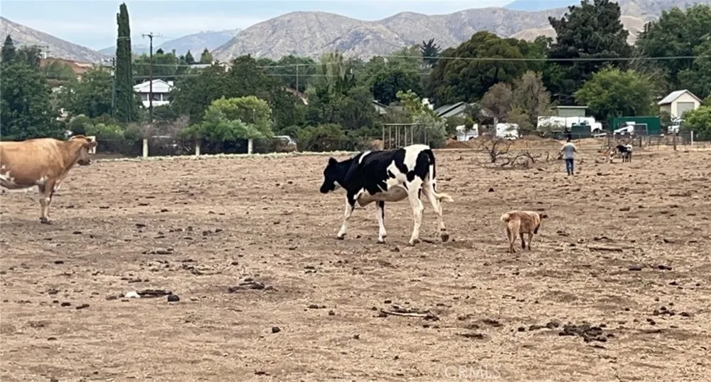 Gilman Banning, CA 92220