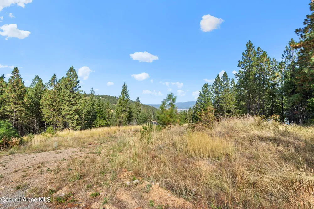 NKA Lot 1 Blk 3 Regent Drive Post Falls, ID 83854