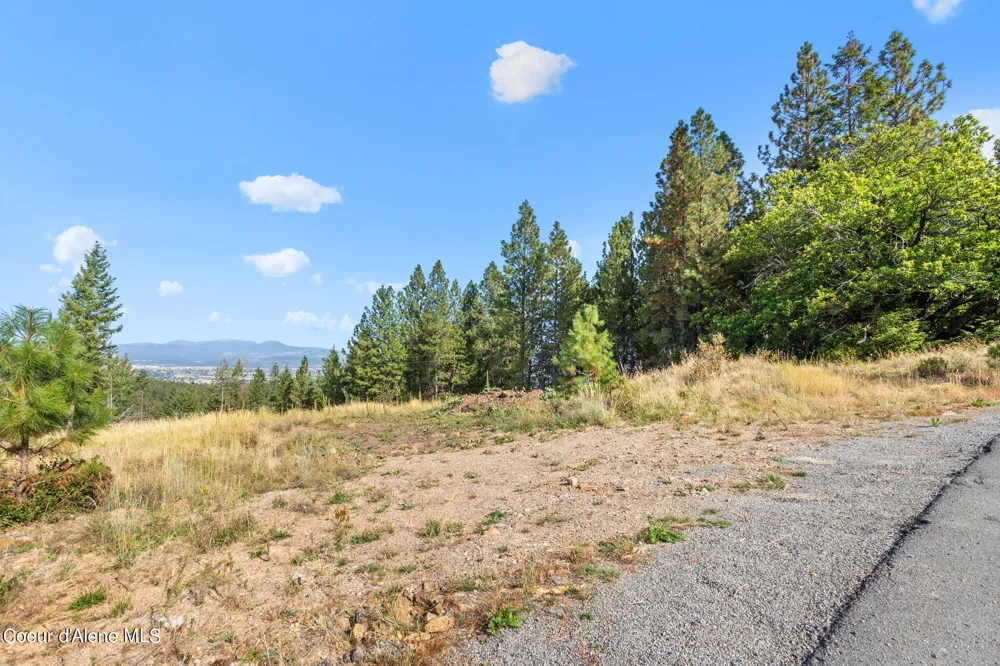 NKA Lot 1 Blk 3 Regent Drive Post Falls, ID 83854