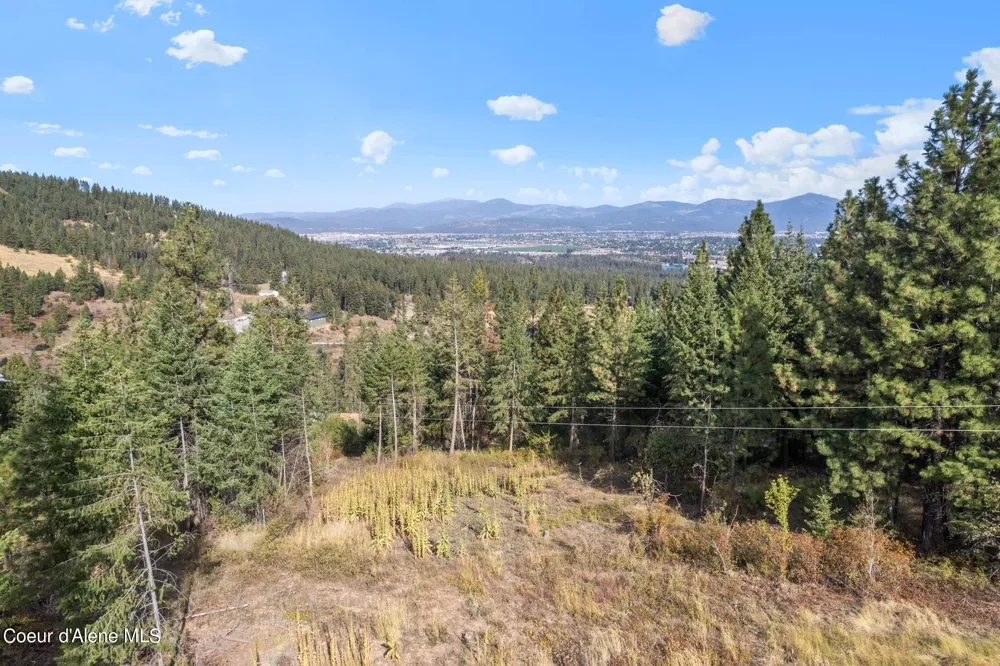 NKA Lot 1 Blk 3 Regent Drive Post Falls, ID 83854