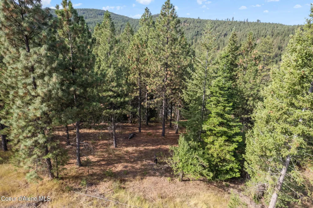 NKA Lot 1 Blk 3 Regent Drive Post Falls, ID 83854