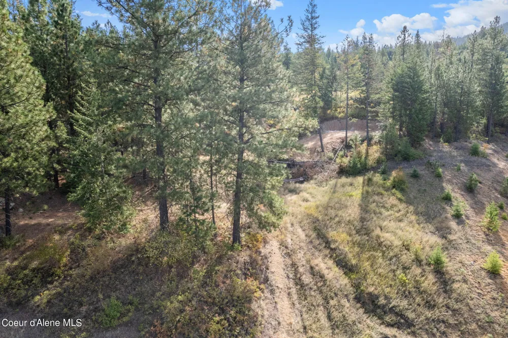 NKA Lot 1 Blk 3 Regent Drive Post Falls, ID 83854