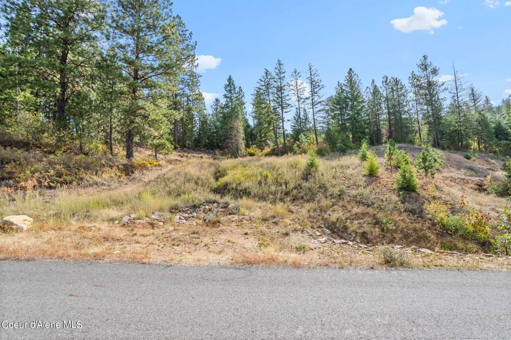 NKA Lot 1 Blk 3 Regent Drive Post Falls, ID 83854