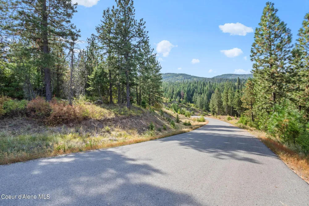 NKA Lot 1 Blk 3 Regent Drive Post Falls, ID 83854