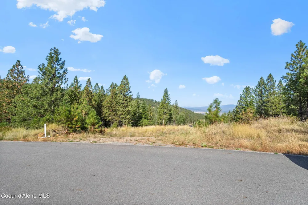 NKA Lot 1 Blk 3 Regent Drive Post Falls, ID 83854