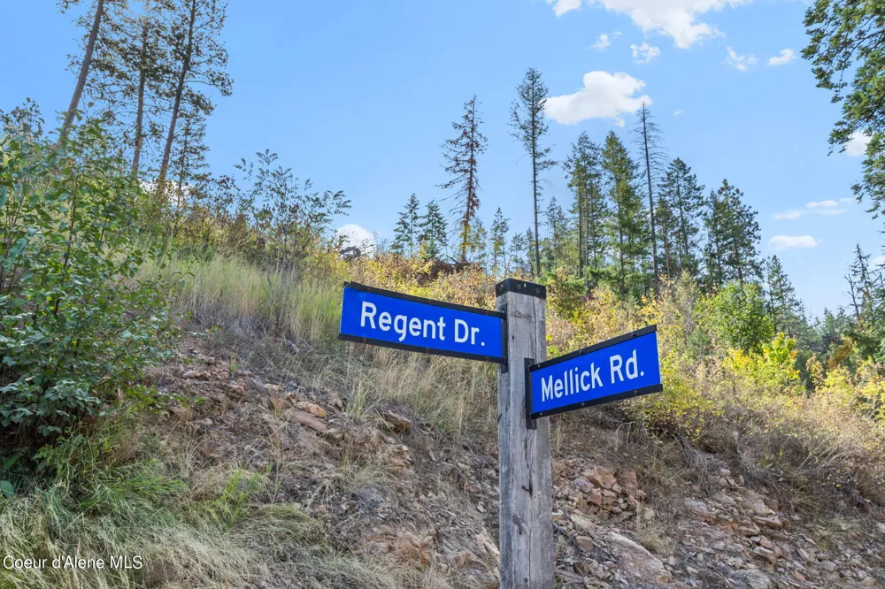 NKA Lot 1 Blk 3 Regent Drive Post Falls, ID 83854