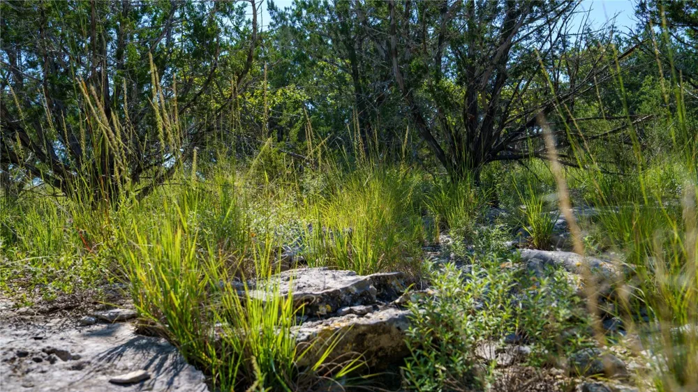 150 Branched Out Trail Kerrville, TX 78028