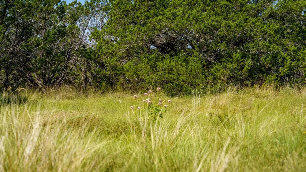 150 Branched Out Trail Kerrville, TX 78028