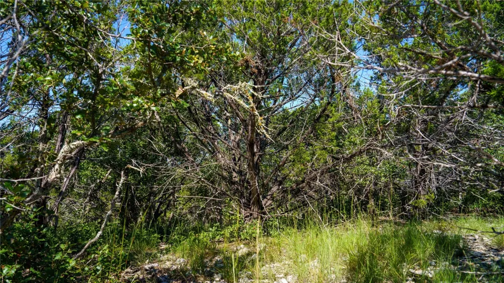 150 Branched Out Trail Kerrville, TX 78028
