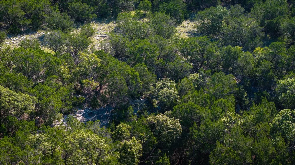 150 Branched Out Trail Kerrville, TX 78028