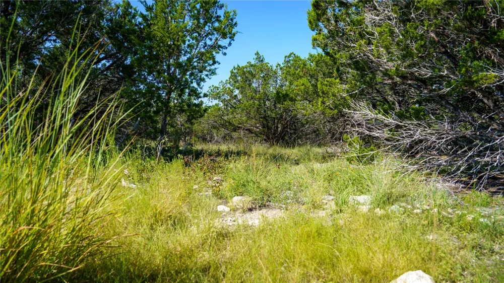 150 Branched Out Trail Kerrville, TX 78028