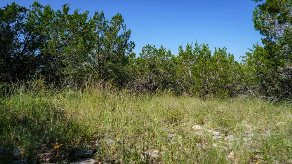 150 Branched Out Trail Kerrville, TX 78028
