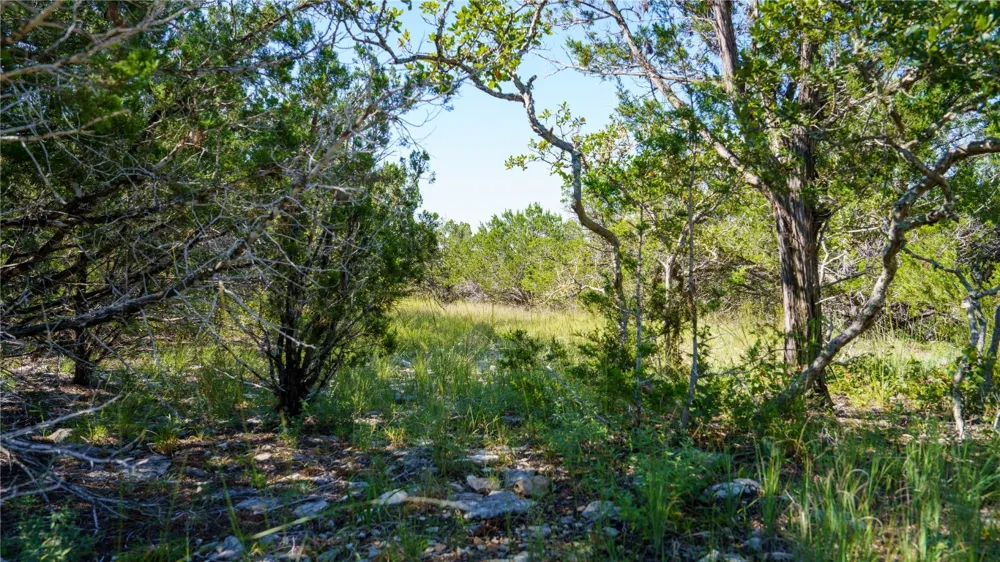 150 Branched Out Trail Kerrville, TX 78028