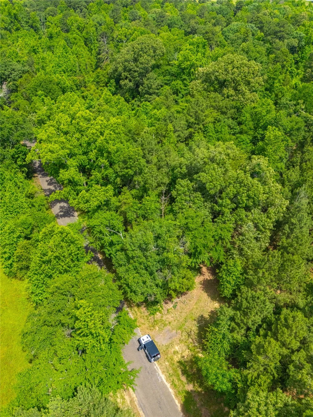 4206 Gilliam Lane Naples, TX 75568