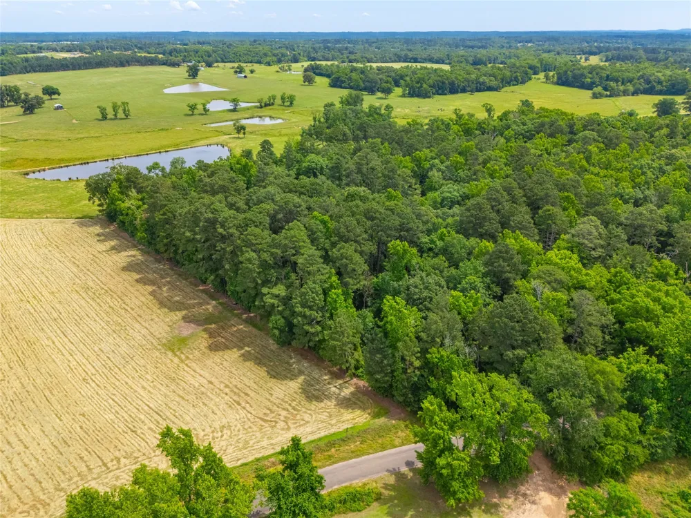 4206 Gilliam Lane Naples, TX 75568