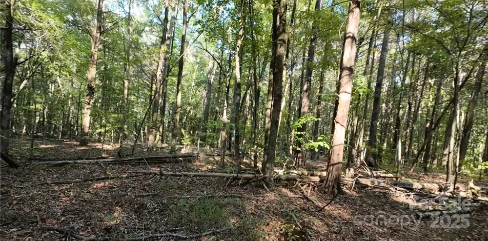 3943 Walker Road Rock Hill, SC 29730